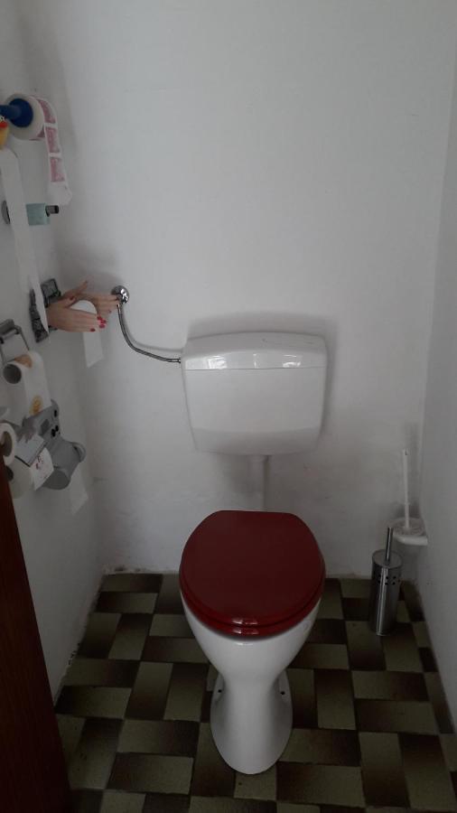 Vakantie Boerderij De Boerenzwaluw Karl Εξωτερικό φωτογραφία