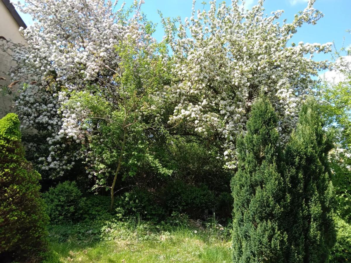 Vakantie Boerderij De Boerenzwaluw Karl Εξωτερικό φωτογραφία