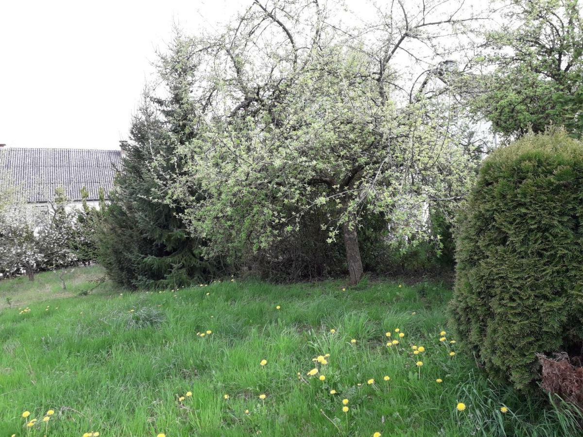 Vakantie Boerderij De Boerenzwaluw Karl Εξωτερικό φωτογραφία